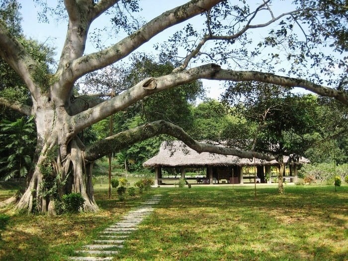 뚜옌꽝 – 항쟁의 수도에서 전하는 진심의 노래 - ảnh 1