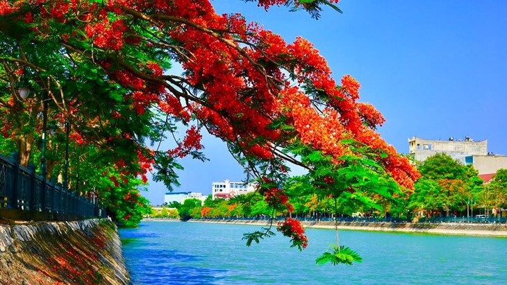 하이퐁 – 붉은 봉황꽃의 도시 - ảnh 1