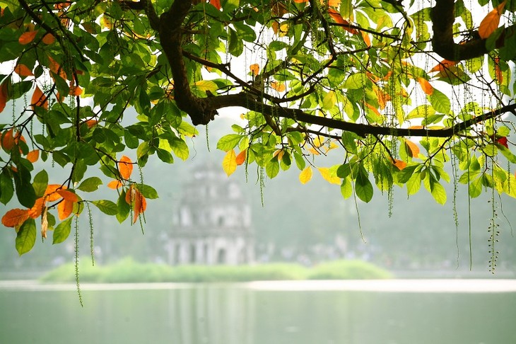 하노이 – 80년 전 혁명의 가을  - ảnh 2