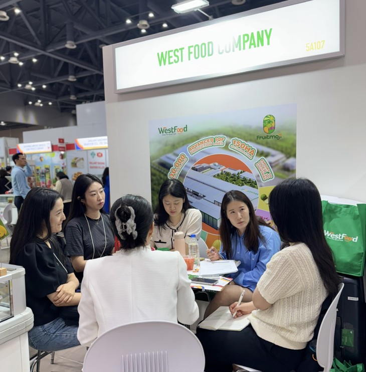 음식이 연 여정: 베트남과 한일 협력의 새 지평 - ảnh 4