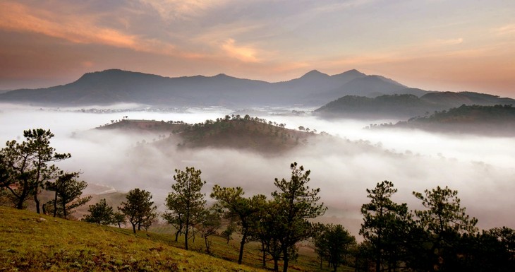 닥락 – 대자연 속 커피의 향기 - ảnh 3