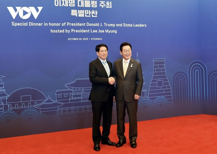 르엉 끄엉 국가주석, 경주서 열린 APEC 정상 환영 만찬 참석 - ảnh 1