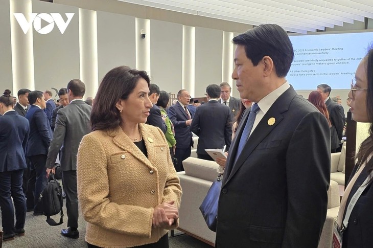 ‘방한 중인’ 르엉 끄엉 국가주석, APEC 지도자들과 잇따라 면담 - ảnh 2