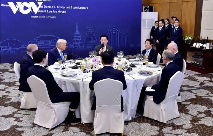 르엉 끄엉 국가주석의 2025 APEC 참석 및 한국 방문 일정 모아보기 - ảnh 2