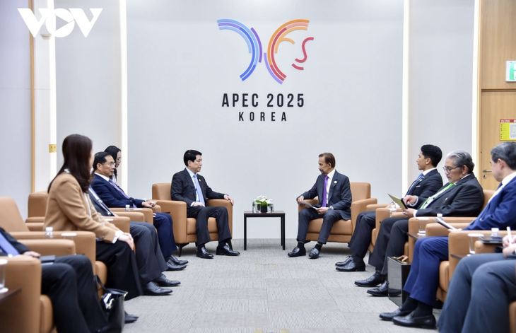르엉 끄엉 국가주석의 2025 APEC 참석 및 한국 방문 일정 모아보기 - ảnh 10