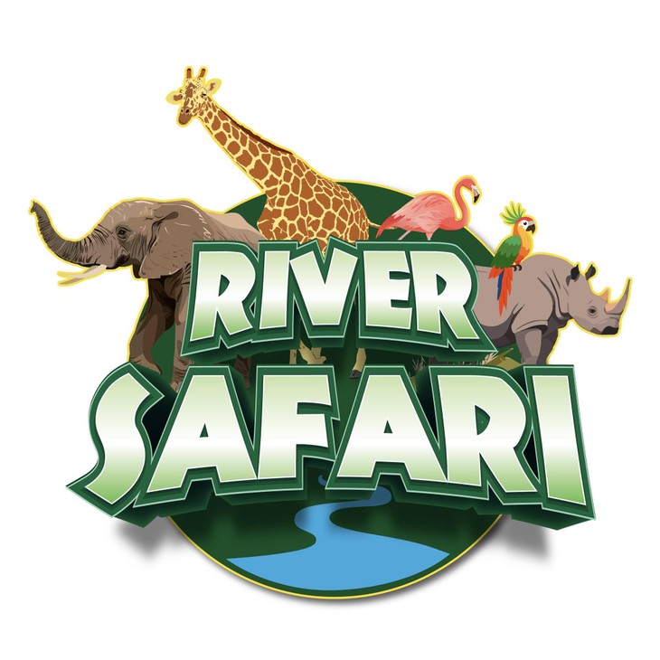 남호이안 리버 사파리 탐험 – 흥미진진한 야생의 세계 - ảnh 5