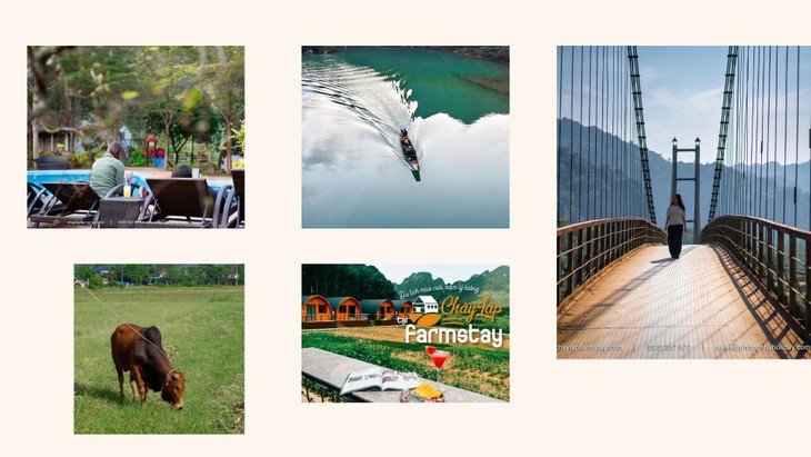 새해 여행: 베트남 중부 꽝빈 지역 짜이럽 팜스테이(Chày Lập Farmstay) 탐방 - ảnh 2