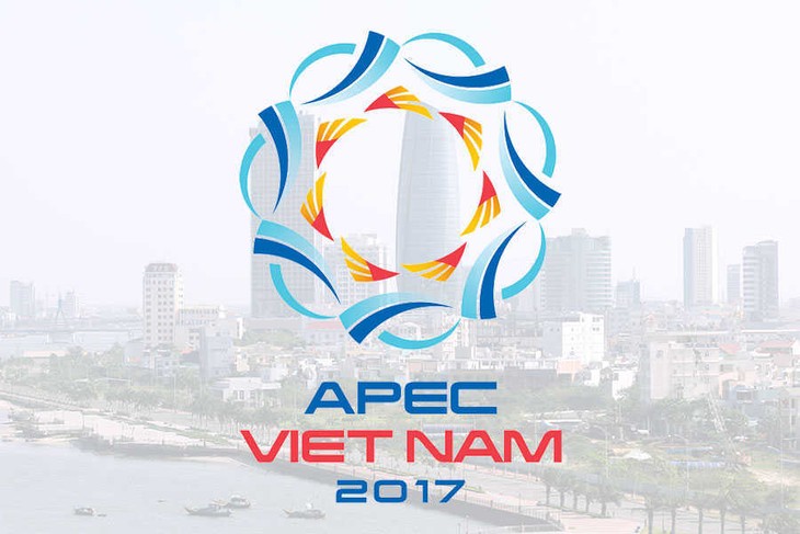 APEC ២០១៧៖វៀតណាមពង្រីកតួនាទីជាប្រទេសម្ចាសផ្ទះដោយមានការរួមវិភាគទាននានា - ảnh 1