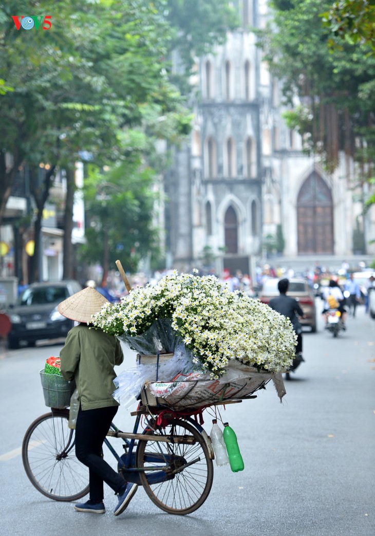 រដូវផ្កាគ្រីសាន (Chrysanthemum) Hoa mi (ហាកមី) រីកនៅទីក្រុងហាណូយ - ảnh 16