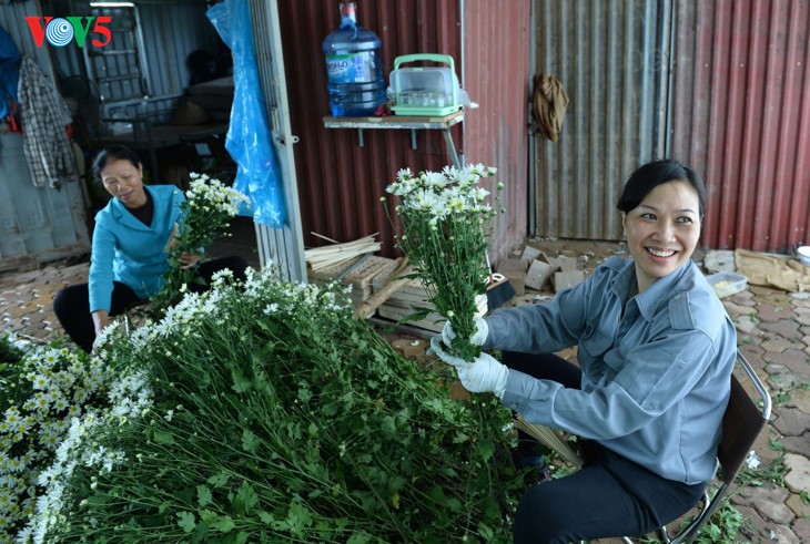 រដូវផ្កាគ្រីសាន (Chrysanthemum) Hoa mi (ហាកមី) រីកនៅទីក្រុងហាណូយ - ảnh 8