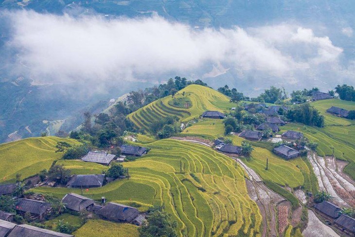 វាលស្រែកាំជណ្តើរ Hoang Su Phi ថ្វីដៃឯករបស់ជនជាតិភាគតិច - ảnh 1