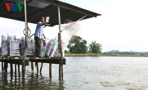 លោកតាកសិករធ្វើសេដ្ឋកិច្ចពូកែនិងមានទឹកចិត្តសប្បុរសធម៌ - ảnh 1