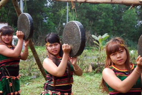 ពិធីសែនក្លោងទ្វារភូមិស្រុករបស់ជនជាតិ M’nong - ảnh 4