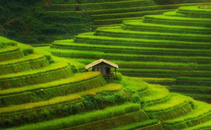 Mu Cang Chai ត្រូវបានរៀបចំណាត់ក្នុងចំណោមជម្រើសកំពូលទីកន្លែងដ៏មានពណ៌សម្បុរឆើតបំផុតលើពិភពលោក - ảnh 2