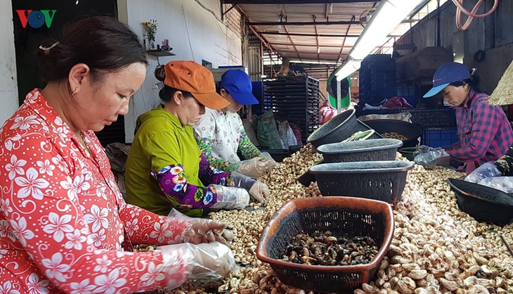 ឃុំ Phuoc Cat ជំនះពុះពារលើការលំបាកដើម្បីរីកចម្រើនទៅមុខ - ảnh 1