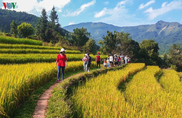 តំបន់ខ្ពង់រាបនៅខេត្ត Quang Ninh ទាក់ទាញភ្ញៀវទេសចរមកទស្សនាក្នុង សរទៈរដូវ - ảnh 4