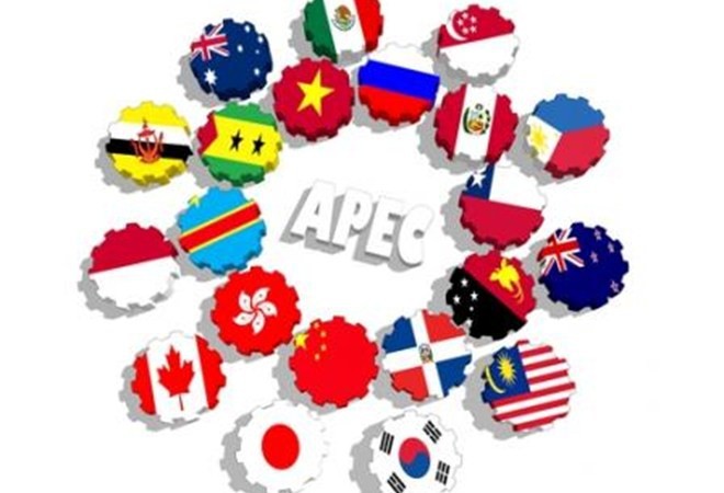 APEC បង្កើតមូលដ្ឋានគ្រឹះថ្មីសម្រាប់ការអភិវឌ្ឍក្នុងតំបន់អាស៊ី-ប៉ាស៊ីហ្វិក - ảnh 1