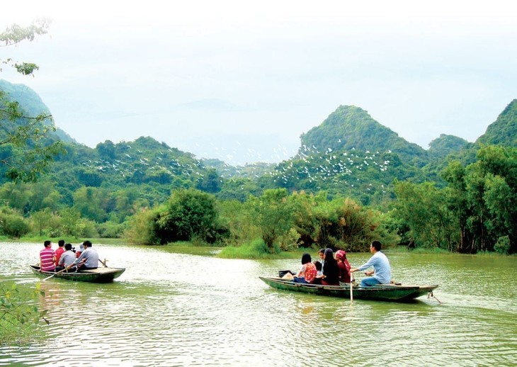 អញ្ជើញទៅទស្សនាសួនសត្វស្លាប Thung Nham នៅខេត្ត Ninh Binh - ảnh 3