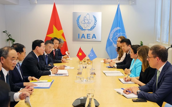 កិច្ចសហប្រតិបត្តិការរវាង IAEA និងវៀតណាមកំពុងអភិវឌ្ឍន៍យ៉ាងល្អប្រសើរ - ảnh 1