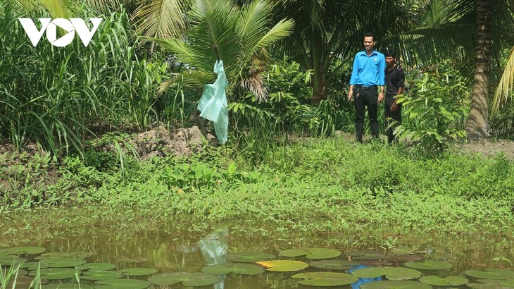 បុរសកសិករខ្មែរម្នាក់ទទួលបានជោគជ័យពីមុខរបរធ្វើកសិកម្មដាំដំណាំនិងចិញ្ចឹមសត្វ - ảnh 2