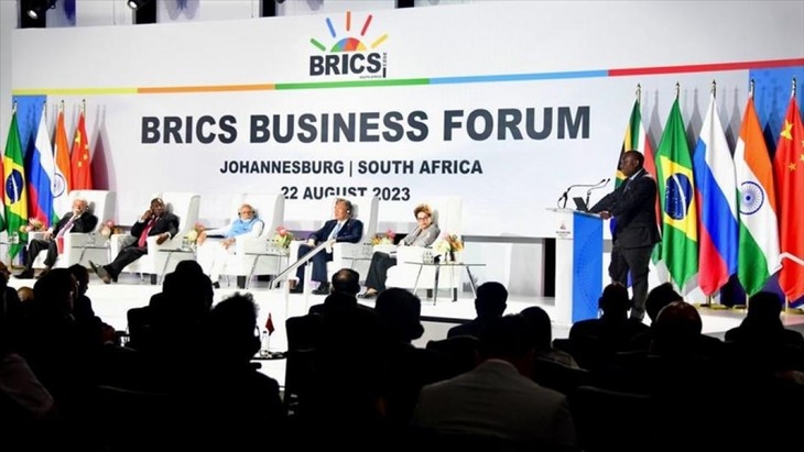 BRICS និងគោលដៅរួមគ្នាពន្លឿនការអភិវឌ្ឍប្រកបដោយចីរភាព - ảnh 2