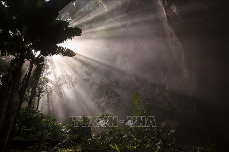 Son Doong ស្ថិតក្នុងជម្រើសកំពូលរូងភ្នំស្អាតបំផុតទាំង ១០ លើពិភពលោក - ảnh 2