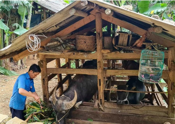 ស្រុក Ha Quang ខេត្ត Cao Bang ខិតខំរួចផុតពីភាពក្រីក្រនៅឆ្នាំ២០២៥ - ảnh 2