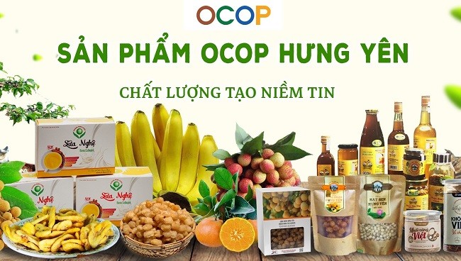 Hung Yen អភិវឌ្ឍន៍កសិកម្មដោយផ្សារភ្ជាប់នឹងការកសាងជនបទថ្មី - ảnh 1