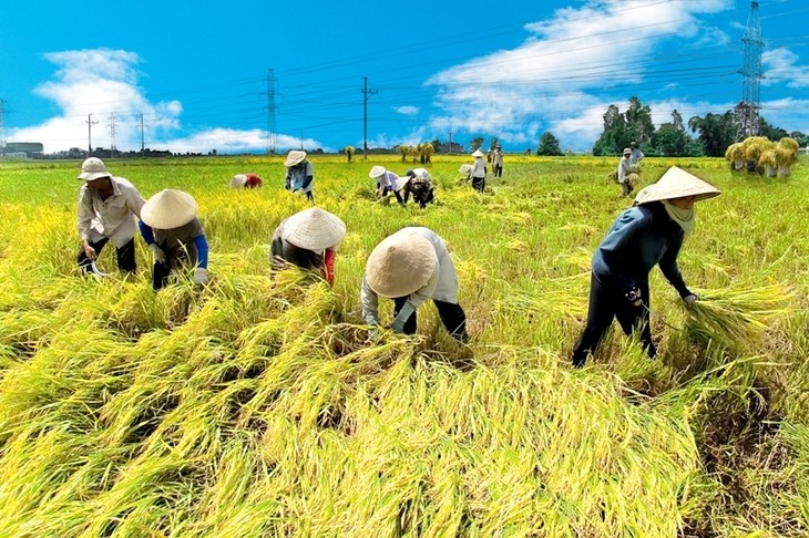 វៀតណាមប្រើប្រាសប្រភពកំលាំងនិងគំរូនៃគំរោងការណ៏របស់IFADប្រកបដោយប្រសិទ្ធភាព - ảnh 1