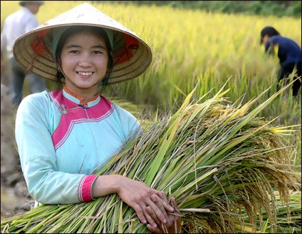 សំលៀកបំពាក់របស់នារីជនជាតិភាគតិចនៅតំបន់ព្រៃភ្នុំខាងកើតវៀតណាម - ảnh 10