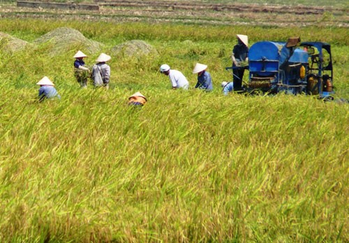 សន្និសីទមន្ត្រីជាន់ខ្ពស់នៃបណ្ដាប្រទេសអាស៊ានអំពីការអភិវឌ្ឍន៍ជនបទនិងកាត់បន្ថយភាពក្រីក្រលើកទី៩ - ảnh 1