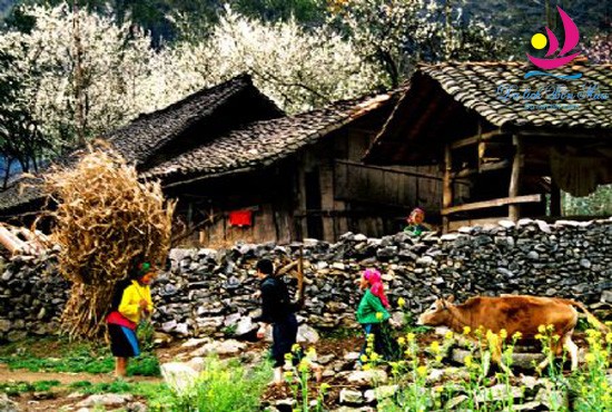 ខេត្ត Ha Giang អភិវឌ្ឍន៍ទេសចរណ៍សហគមន៍ តភ្ជាប់ជាមួយការកសាងជនបទថ្មី - ảnh 1