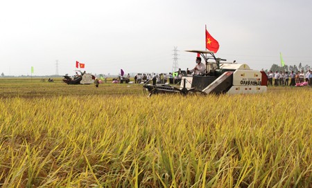 ការកសាងជនបទថ្មីនៅ DONG TAM-BAC GIANG - ảnh 1