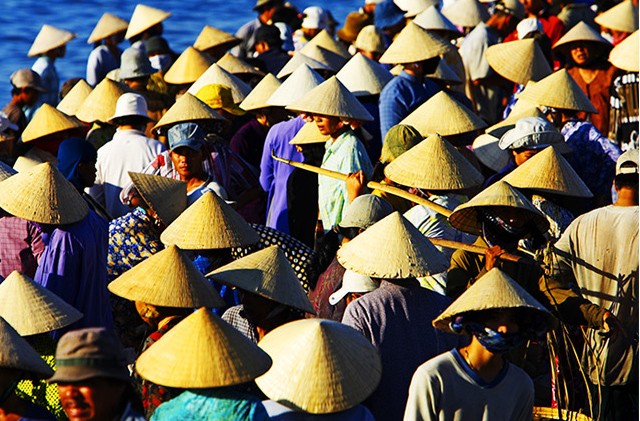 ដួនស្លឹកក្នុងជីវភាពរស់នៅរបស់ប្រជាជនវៀតណាម - ảnh 1