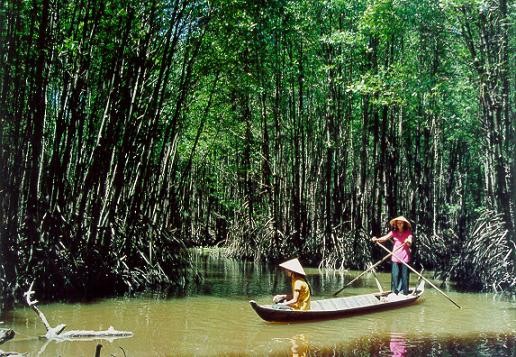 Ca mauទទួលប័ណ្ណទទួលស្គាល់តំបន់ Ramsan - ảnh 1