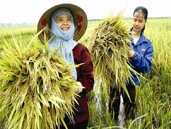 ពង្រីកតួនាទីរបស់សមាគមកសិករក្នុងការកសាងជនបទថ្មី - ảnh 1