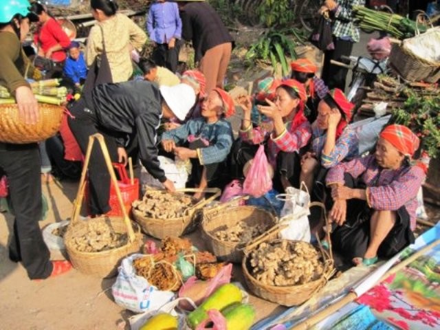 ពេលប្រជុំផ្សារសំរាប់ចំណងមិត្តភាពវៀតណាម-ឡាវ - ảnh 2