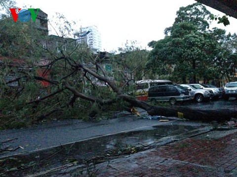 ខ្យល់ព្យុះ HAIYAN បក់បោកខេត្ត Quang Ninh និងទីក្រុង Hai Phong - ảnh 1