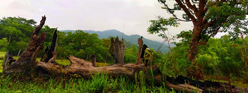 សម្រស់ព្រៃឈើវៀតណាមក្នុងក្រសែភ្នែកអ្នកថតរូប - ảnh 19