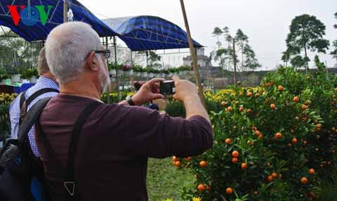 ពណ៌រចំរុះនៅផ្សារផ្កានិទាឃៈរដូវនៅទីក្រុង Hue - ảnh 11