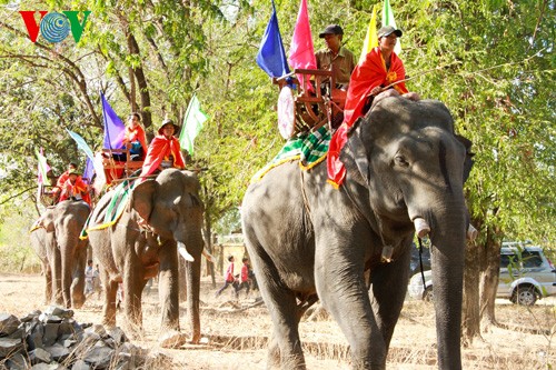 ភាពវិសេសវិសាលនៃពិធីបុណ្យដំរីភូមិ Don ឆ្នាំ ២០១៤ - ảnh 5