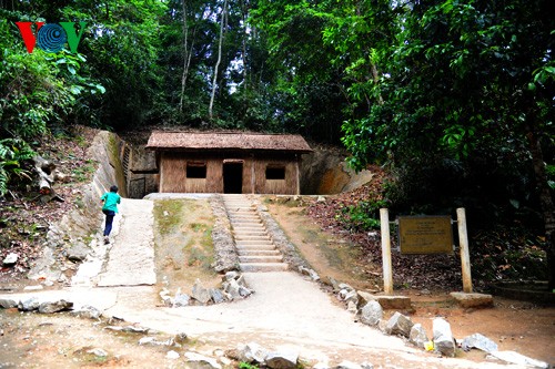 ស្លាមនៃការប្រយុទ្ធរវាងខ្លានិងដំរី - ảnh 15