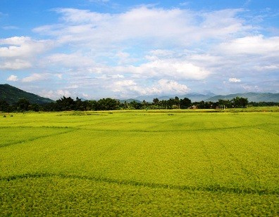 ធានាលាតត្រដាងអនុវត្តប្រកបដោយប្រសិទ្ធភាពច្បាប់ដីធ្លីវិសោធនកម្មឆ្នាំ២០១៣ - ảnh 2