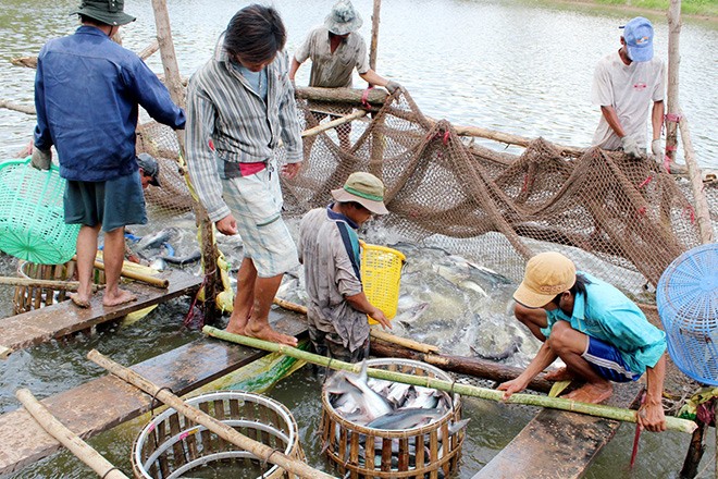 សិក្ខាសាលាពិគ្រោះយោបល់គំរោងការទំនប់វារីអគ្គិសនី Don Sahong នៅទន្លេមេគង្គ - ảnh 1