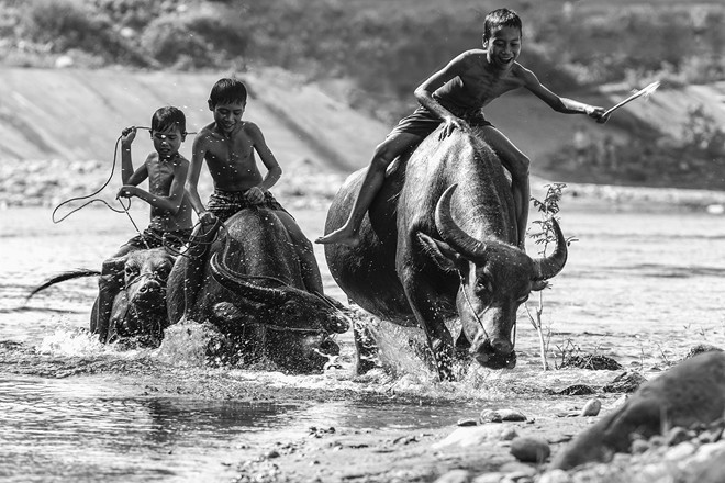 ការតាំងពិពណ៌រ “សំរស់វៀតណាម” នៅអ៊ូស្ត្រាលី - ảnh 4