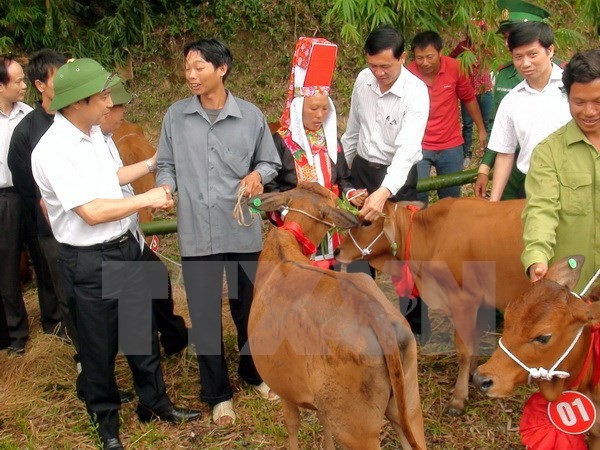 ប្រធានរដ្ឋជូនអំណោយចំពោះបណ្ដាគ្រួសារក្រីក្រនៅតំបន់ព្រំដែន - ảnh 1