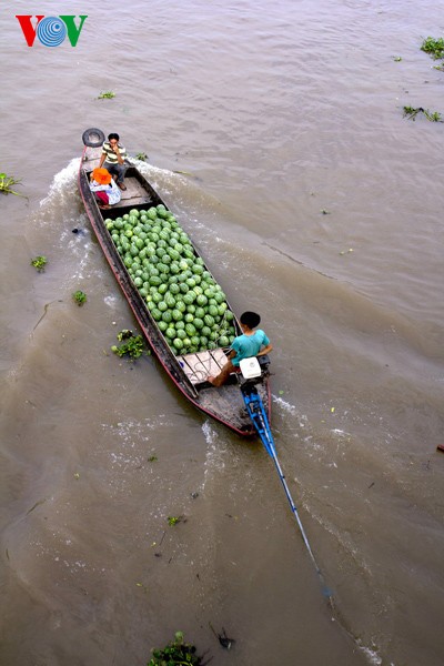 ផ្សារបណ្ដែកទឹក Cai Be - កន្លែងទេសចរណ៍ដ៏វិសេសវិសាលនៃតំបន់ណាមបូខាងលិច - ảnh 5