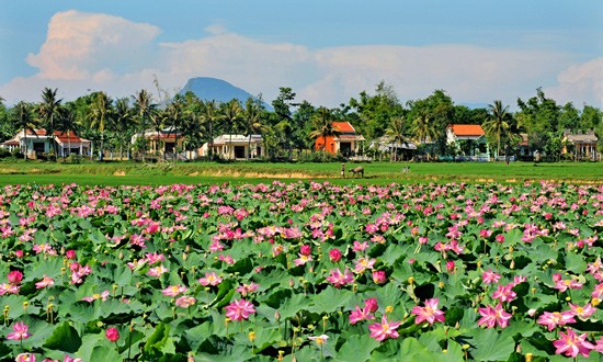 ស្រុក Hoa Vang ទីក្រុង Da Nang  - ចំណុចពន្លឺក្នុងការកសាងជនបទថ្មី - ảnh 1