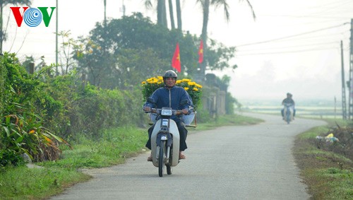  ភូមិផ្កា PHU MAU នានិទាឃរដូវ - ảnh 5