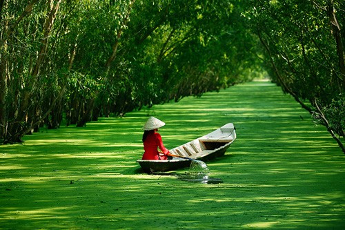 ការប្រឡងប្រមូលតែម “តែមរៀបរាប់រឿងអំពីអ៊ុំហូ” ឆ្នាំ ២០១៥ - ảnh 1